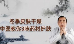 中医视频,传统养生智慧与现代健康生活